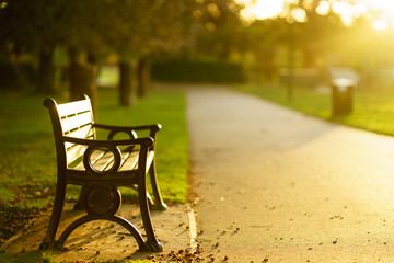 Beautiful autumn park with paths and benches