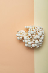 White Enoki Mushrooms