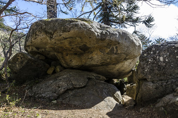 National Park Nahuelbuta, South of Chile.