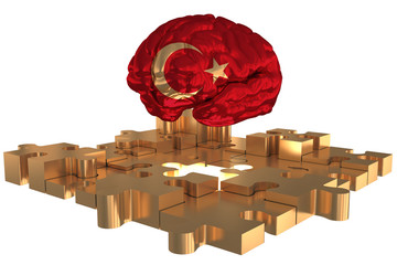 Turkey Flag Brain Concept for Gold High of one missing puzzles