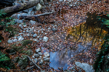 Autumn nature landscape
