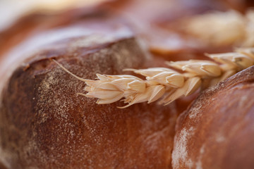 Ears of wheat close-up on a sweet pies