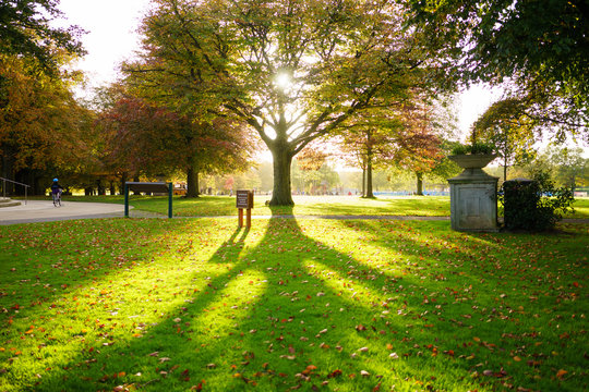 War Memorial Park Coventry in Autumn Sunny day Tree image and people are walking gand kids play in park
