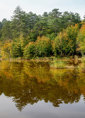Fototapeta na wymiar Autumn Image reflection from lake in Yalova