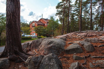 Stockholm,Lydingo nactural landscape
