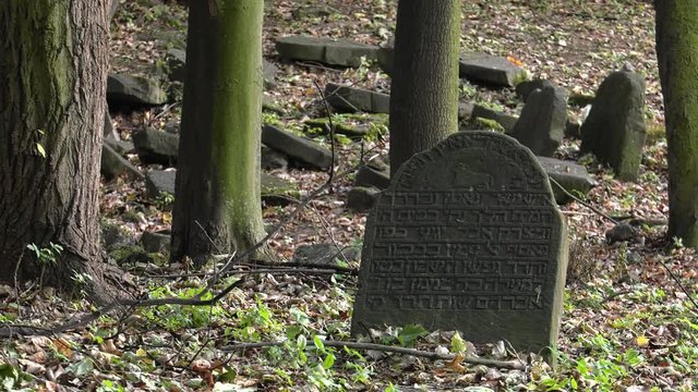 Abandoned Jewish cemetery. Destroyed gravestones.