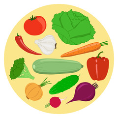 Set of vegetables. Cabbage, tomato, garlic, carrot, pepper, zucchini, broccoli, onion, cucumber, beet, radish. Vector illustration.