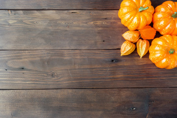 Autumn concept, wooden Background yellow bright pumpkin apples and physalis. Copy space