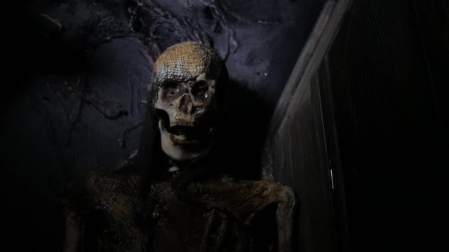Slider towards flashlight reveal of corpse in crypt mouth open