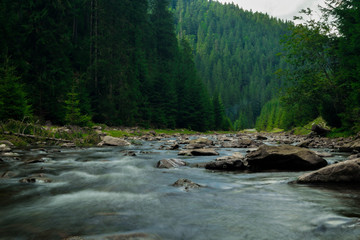 Fototapeta premium Beautiful mountain river, shrine, spruce forest, large stones at a high end
