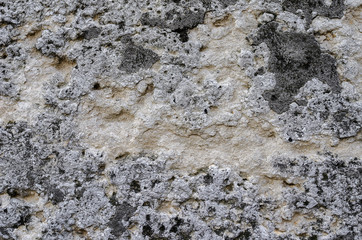 Old concrete wall relief. Well visible texture.