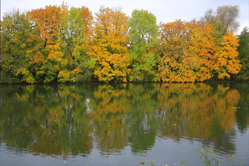 Bunte Herbstbäume am Isarkanal, Bayern, Deutschland