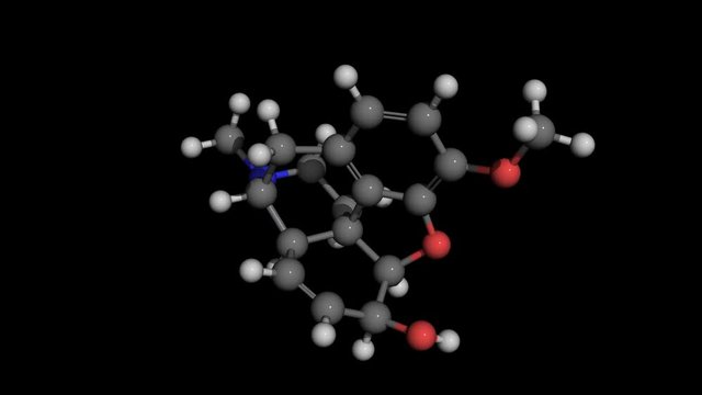 codeine molecule model rotating. Codeine is an opiate used to treat pain.