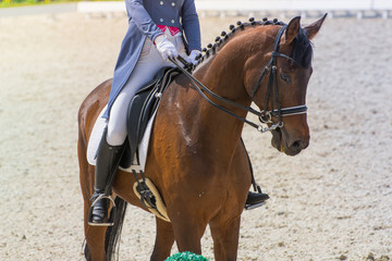 Obraz premium Dressage competitions