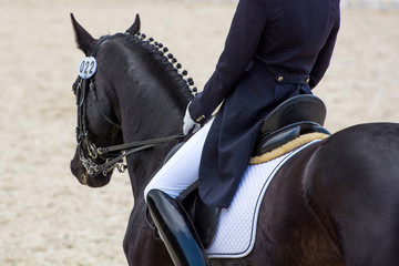 Dressage competitions