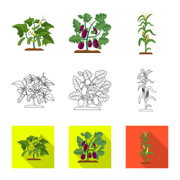 Vector illustration of greenhouse and plant icon. Collection of greenhouse and garden stock vector illustration.