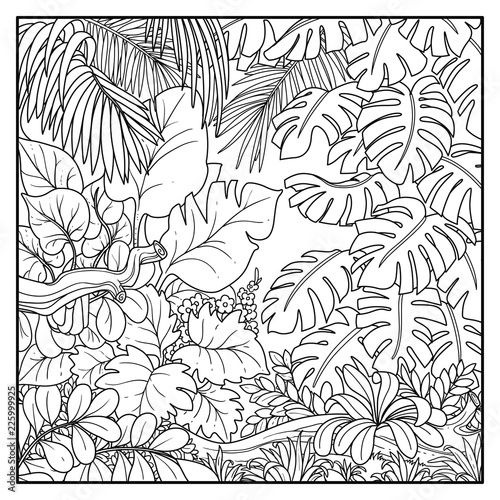 20 Inspiration Jungle Drawing Background Inter Venus