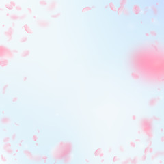 Fototapeta na wymiar 6729212 Sakura petals falling down. Romantic pink flowers vignette. Flying petals on blue sky square backgro