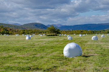 Straw bale