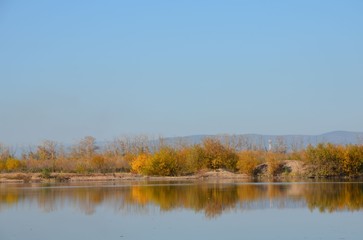 A riverside with clear sky and bushes