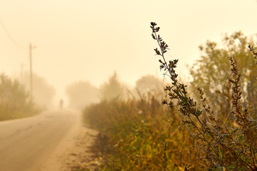 Obraz na płótnie Canvas Autumn misty morning of September.