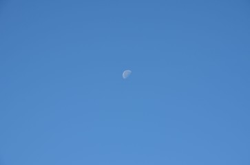 The moon on morning clear sky