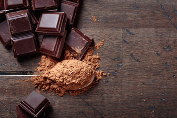 Chocolate pieces and cocoa powder .