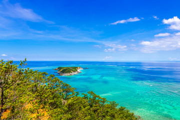 沖縄の海