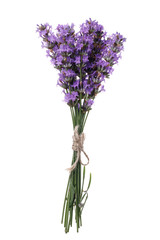 Bouquet of fresh lavender flowers isolated on white background