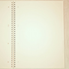 An open blank notebook, pages in a cage