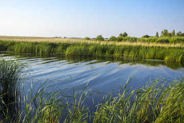 Warm sunny morning. Vistula Bay and the mouth of the Royal Vistula. Site about travel, nature, fishing. Pomorskie district, Poland.
