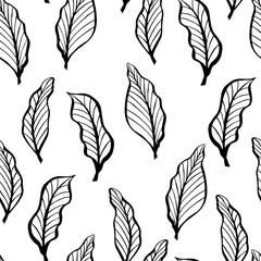 Coloring book page for adults - zendala, doodle. Joy to adult colorists, who like art, relax and meditation. Vector decorative ethnic leaf black and white seamless pattern. Tropical leafs