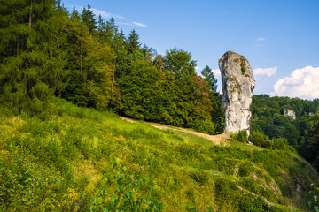 Pieskowa Skala, Poland - Monumental limestone rock Cudgel or Bludgeon of Hercules - Maczuga Herkulesa - in the Ojcowski National Park - obrazy, fototapety, plakaty