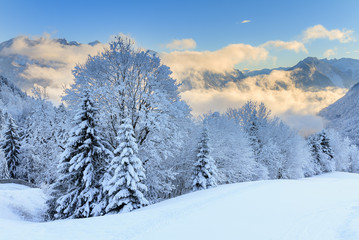 Beautiful morning sunrise view of fresh powder snow in the mountains of the Brandnertal in the Alps in Vorarlberg, Austria, in winter