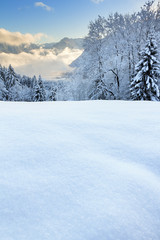 Beautiful morning sunrise view of fresh powder snow in the mountains of the Brandnertal in the Alps in Vorarlberg, Austria, in winter