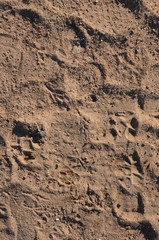 A sanded texture from a riverside