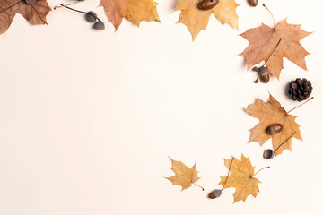 Autumn composition with dried maple leaves, cones and acorns on light background.