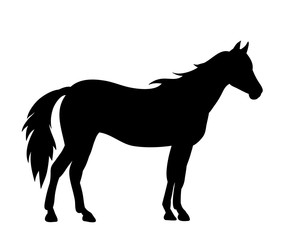 Obraz na płótnie Canvas horse silhouette, on white background