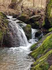 waterfall in forest