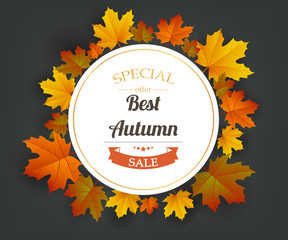 Autumn sale. Autumn background with red, yellow and orange leaves. Vector