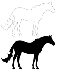 vector, on white background, black silhouette horse