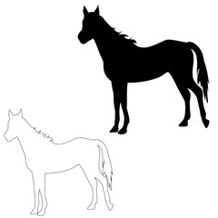 vector, on white background, black silhouette horse