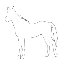 vector, white background, outline, simple sketch of a horse