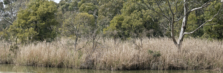 cleland national park