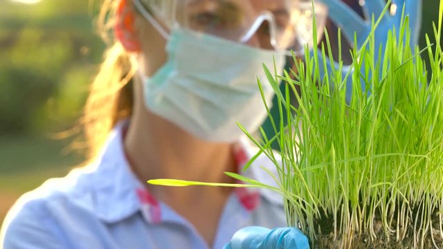 Woman agronomist in goggles and a mask examines a sample of soil and plants