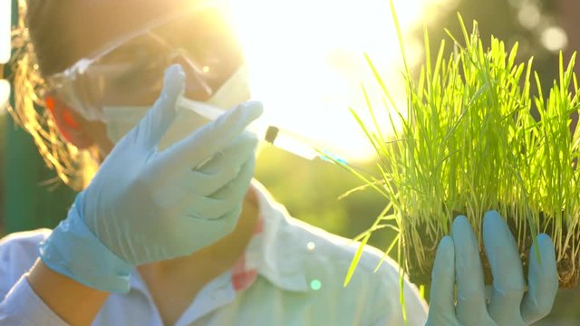 Woman agronomist in goggles and a mask examines a sample of soil and plants