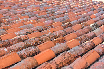 red tiles on the roof of the house.