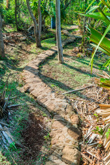Trail in a garden on Ometepe island, Nicaragua