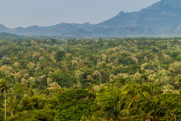Fototapeta na wymiar Landscape near Dambulla, Sri Lanka