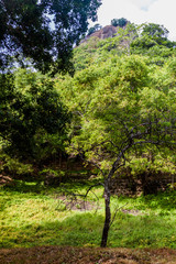 View of a moat along Sigiriya Lion Rock, Sri Lanka